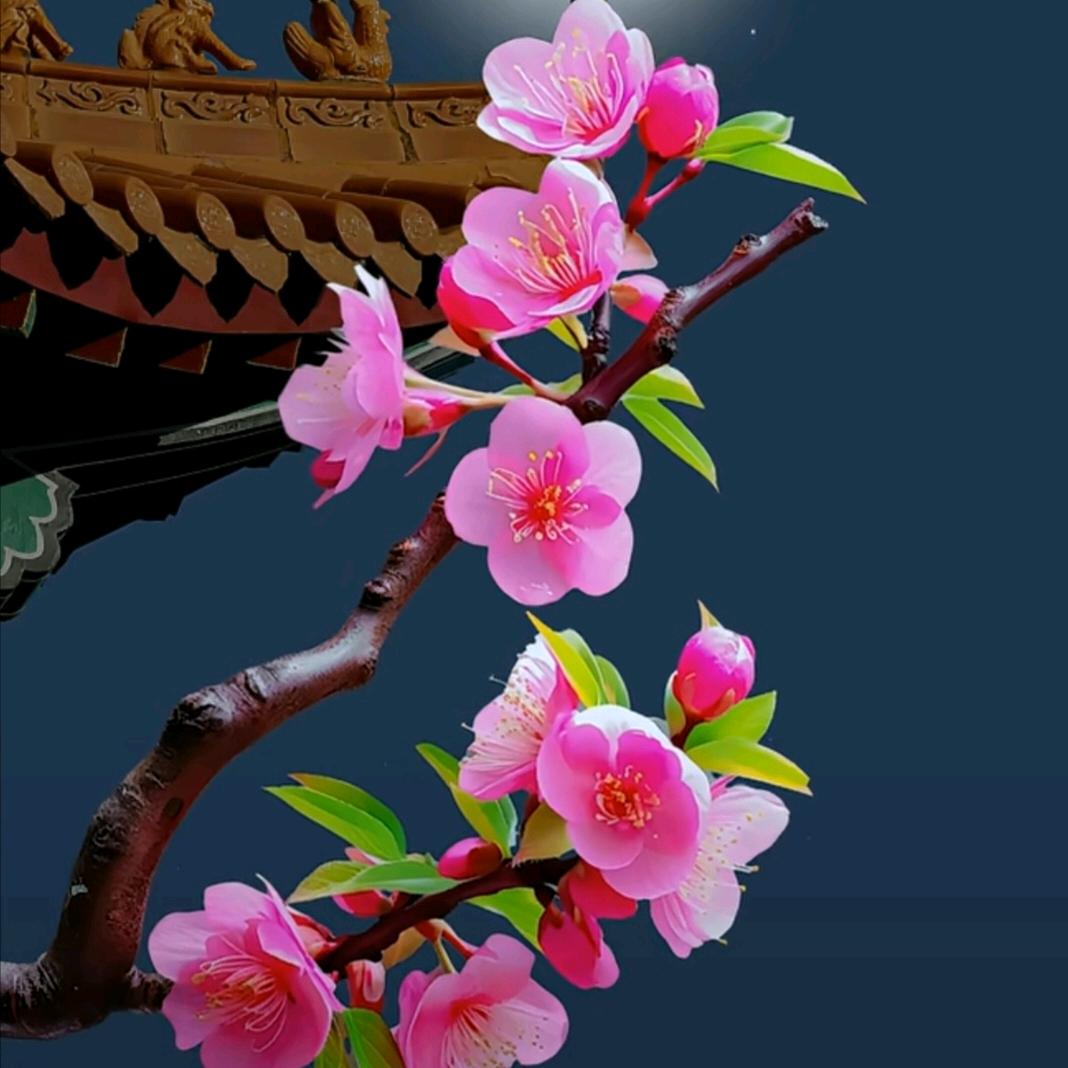 开心🌹