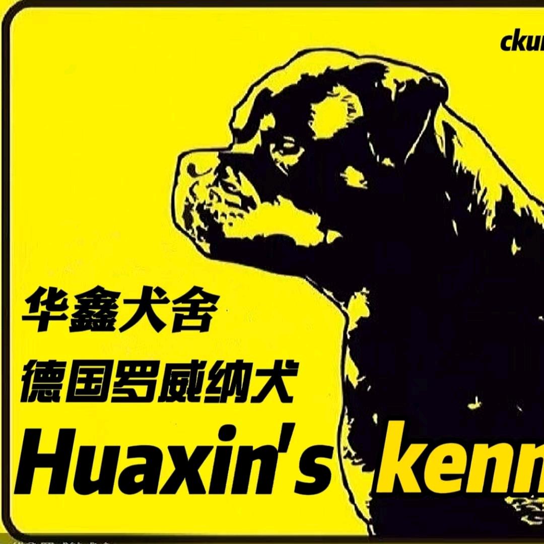 华鑫罗威纳犬业
