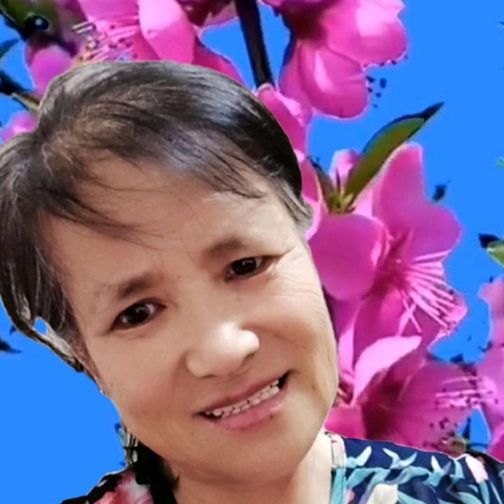 春姐好物