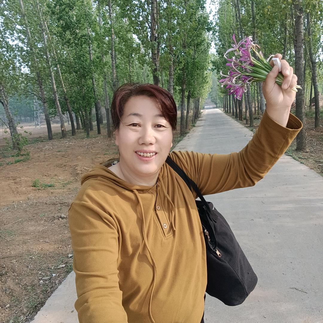慧智兰心
