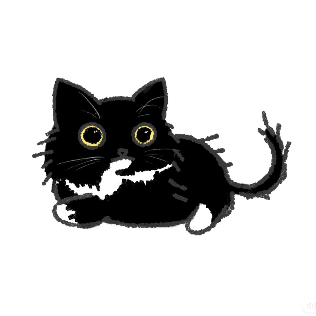 铁蛋是只猫