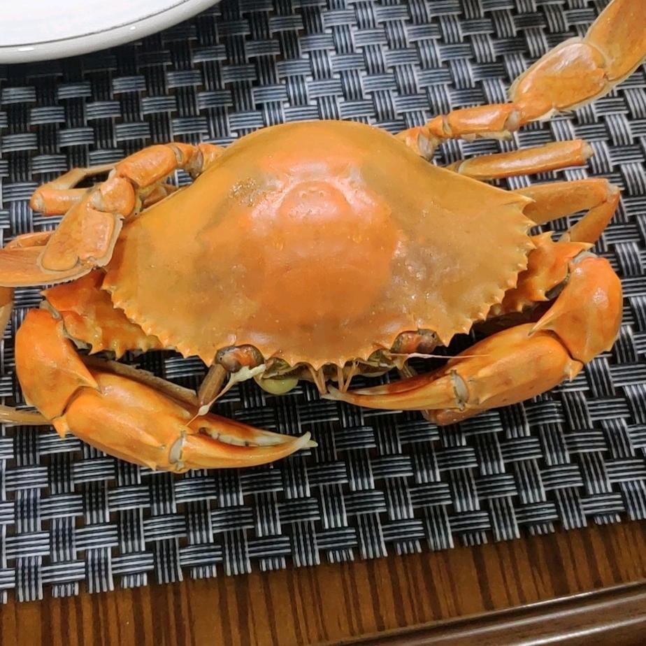 何事秋风悲画扇