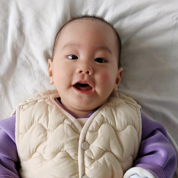 肉肉团