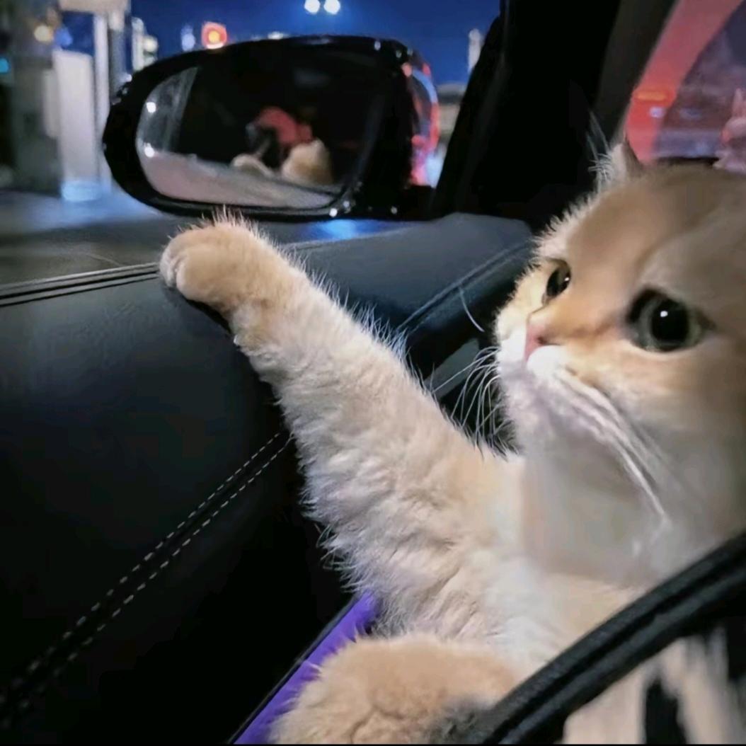 恭喜发财