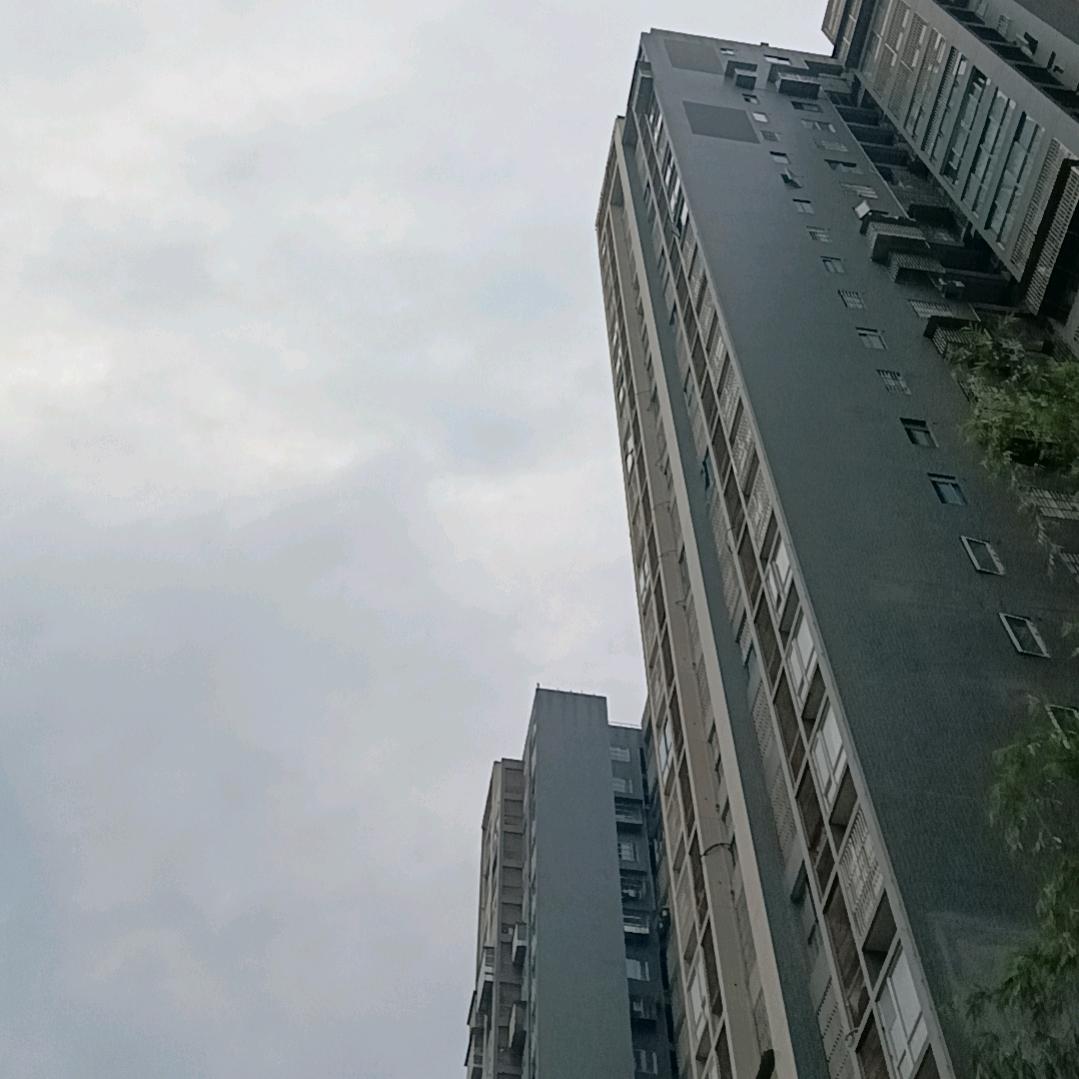 IJ