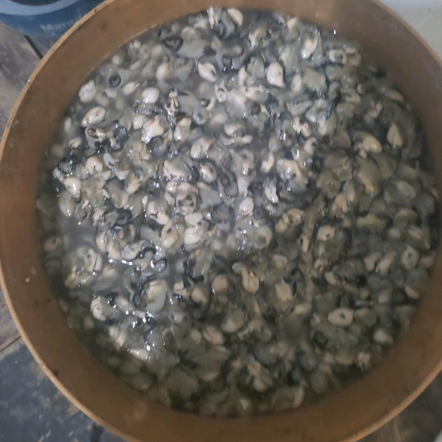 魏清云小海蛎批发