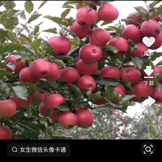 静