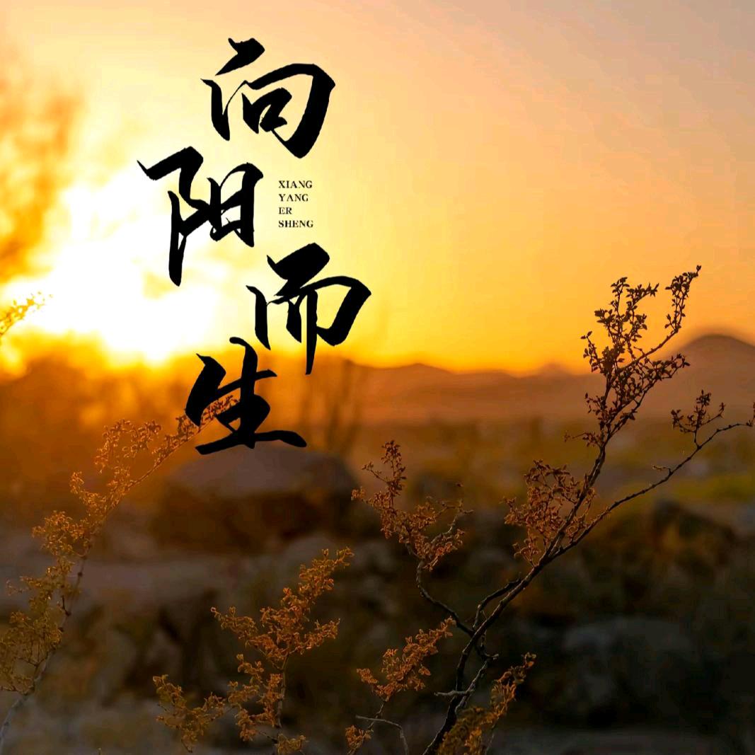 诗ಇ᭄远方࿐ ಇ