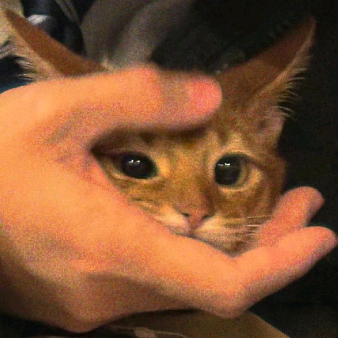 玩三角洲朝我扔雷的都是gay。