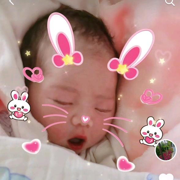 各自安好🌹互不打扰