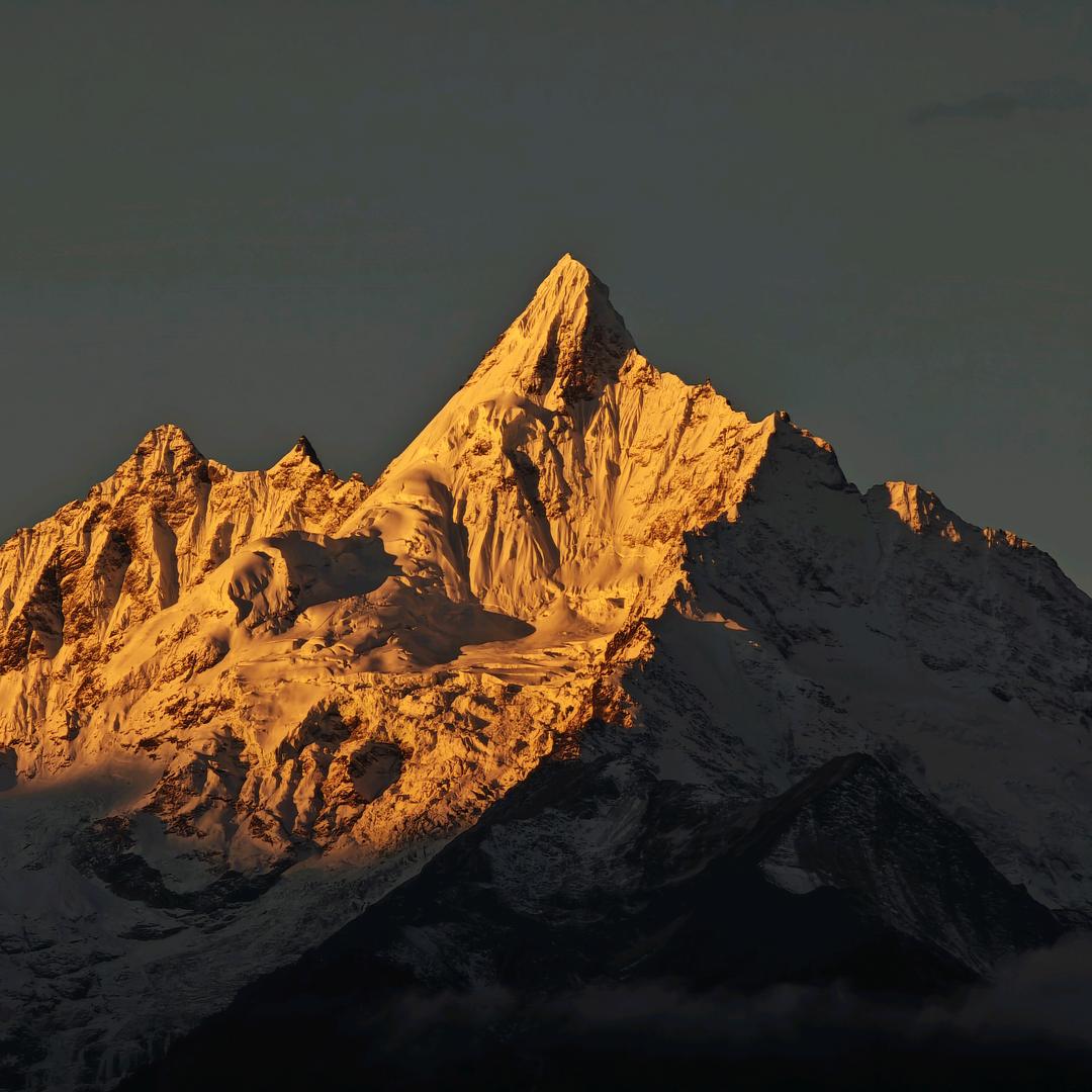 热心市民杨先生