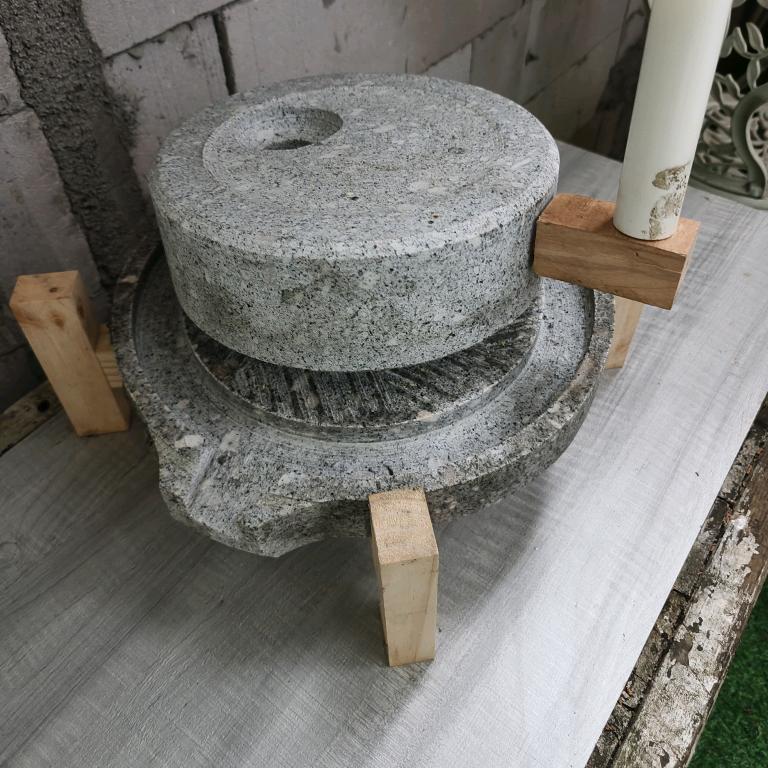 修斑鸠的进来