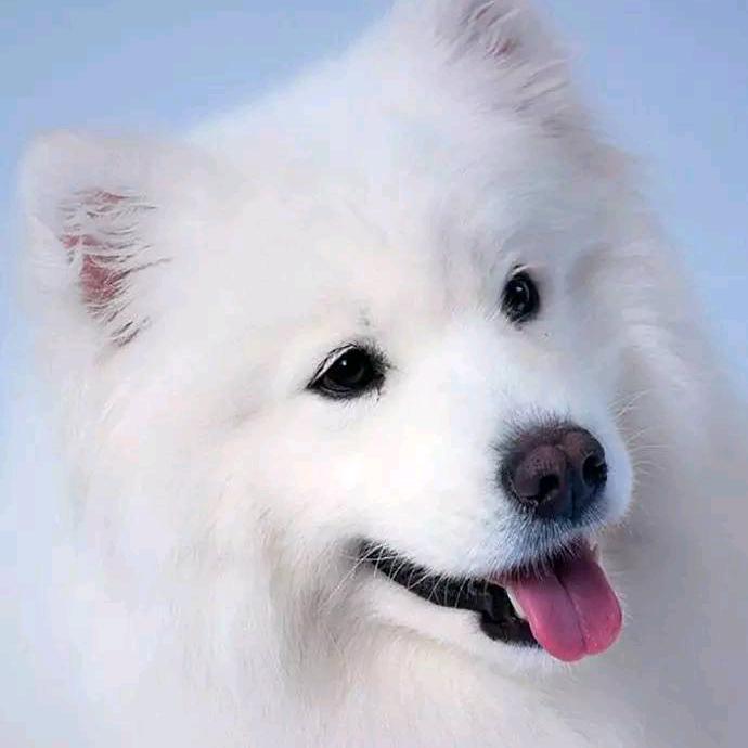 鎻爱