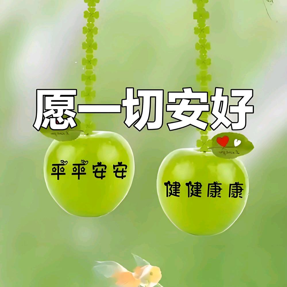 雲靈堂说康养