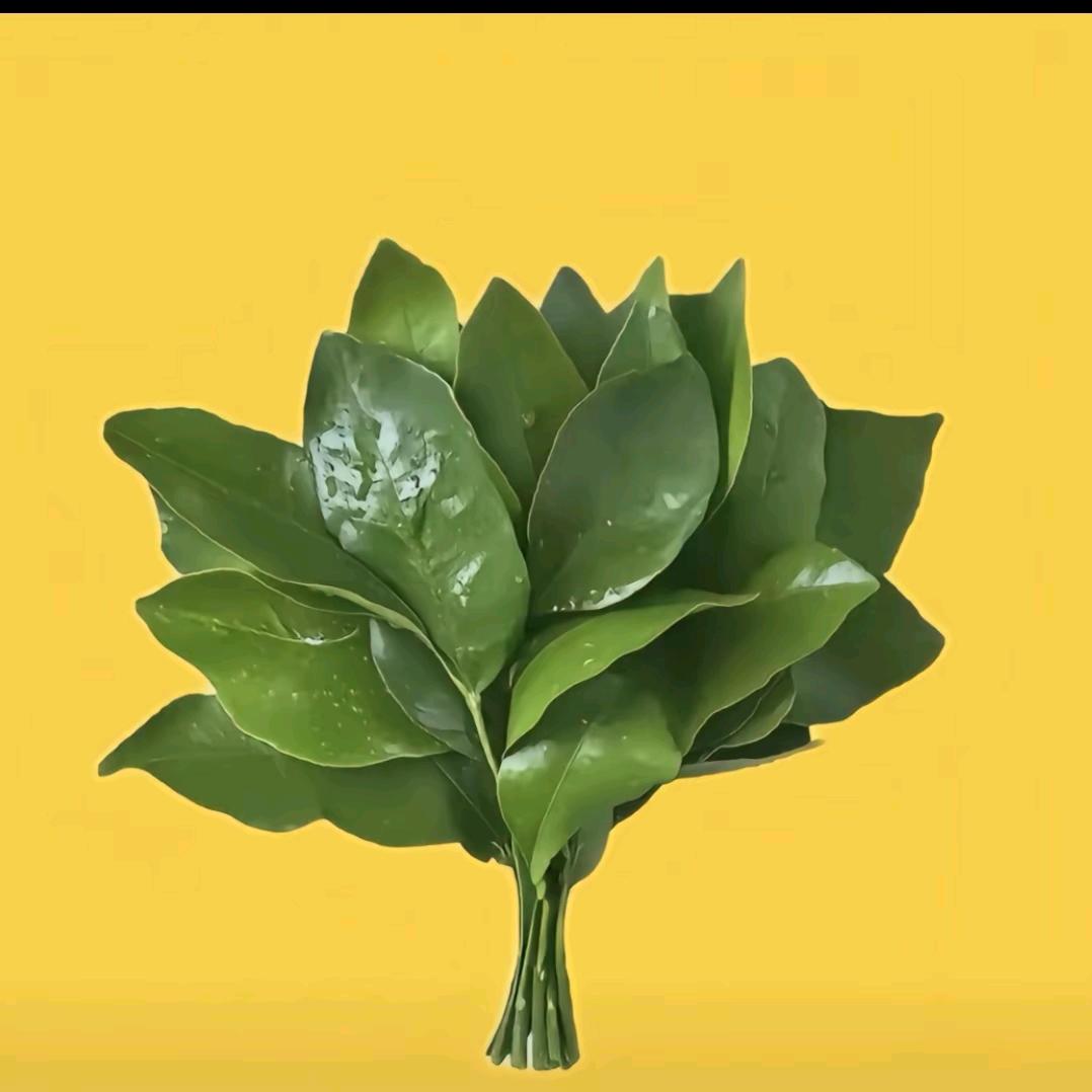 雷大妹嘚嘛