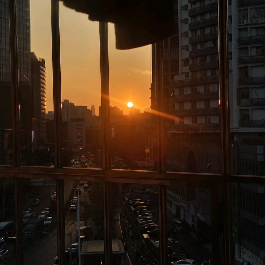 花花是你嘉爺🌸