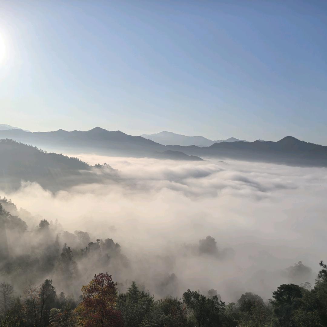 惠惠