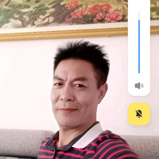 申鼎龙