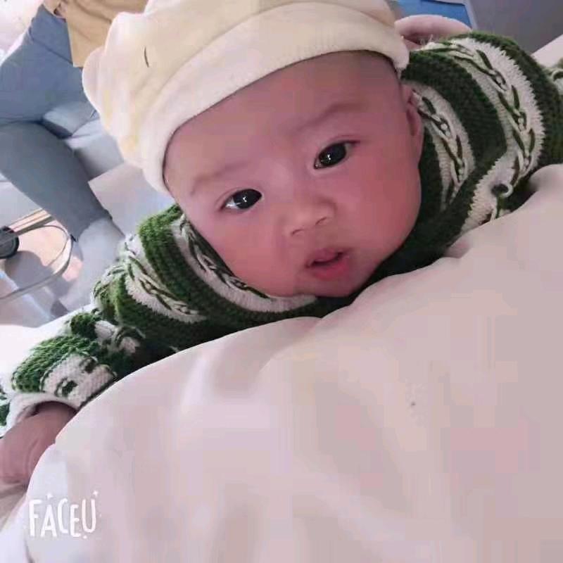 茶