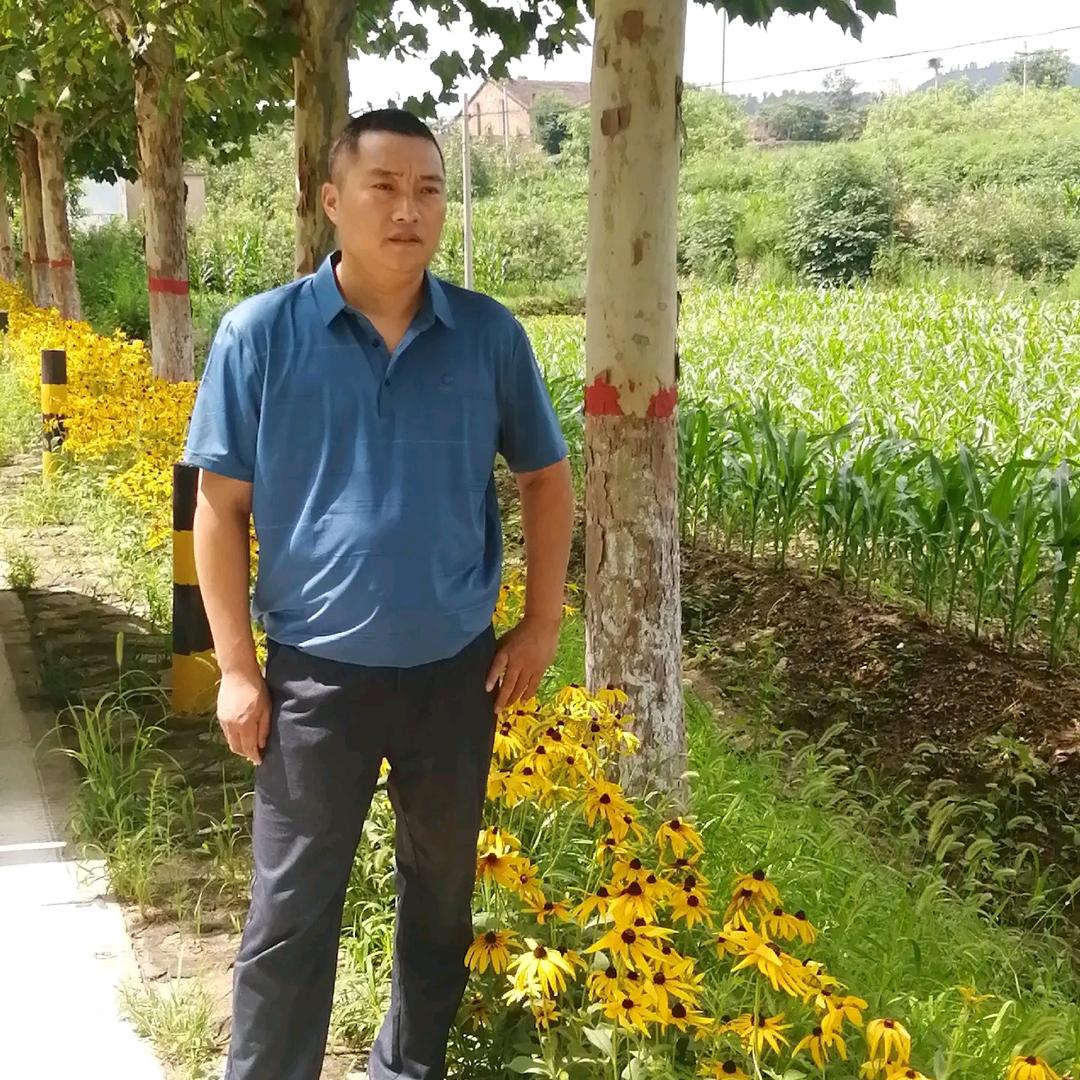 快乐人间