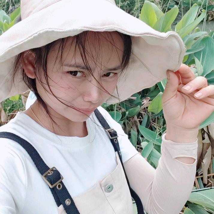 tao得来就好