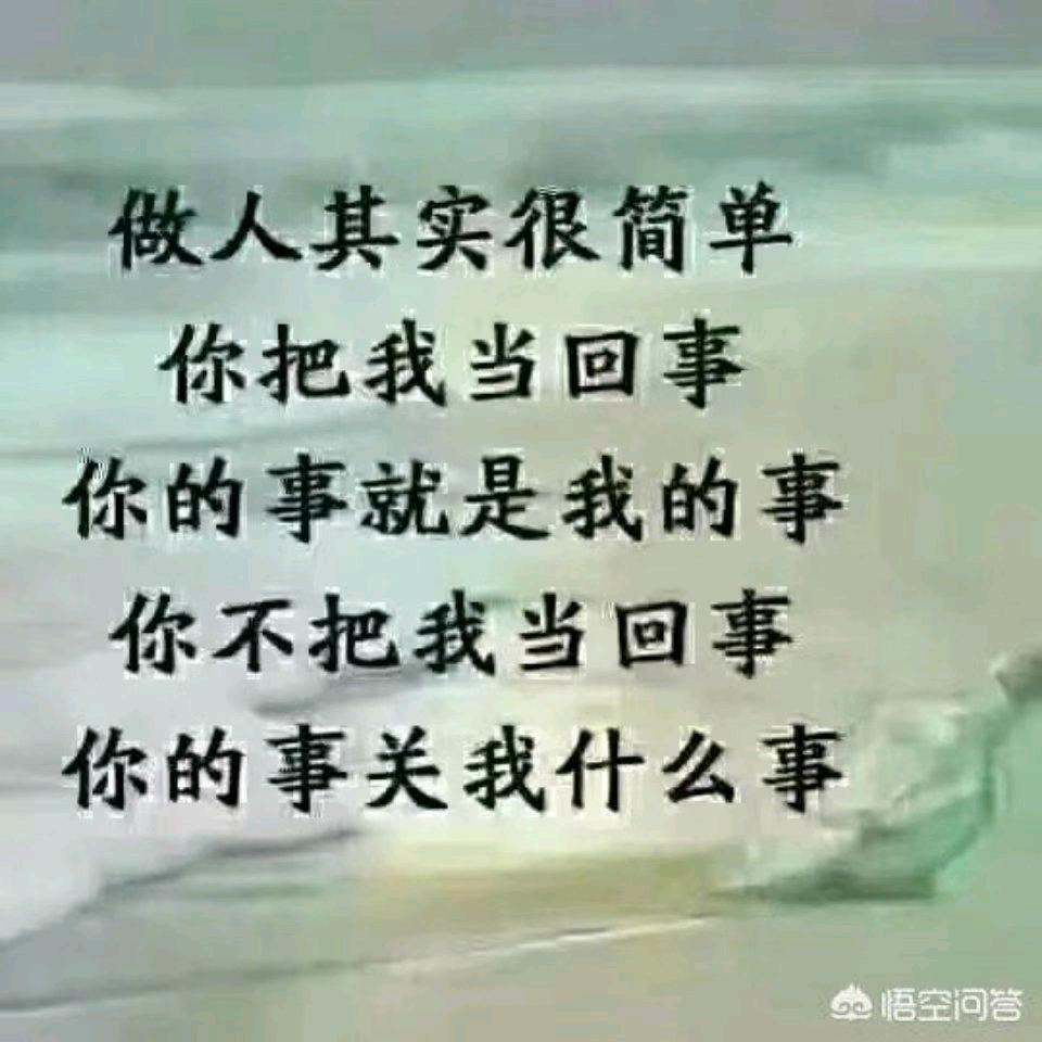 杨帆启航