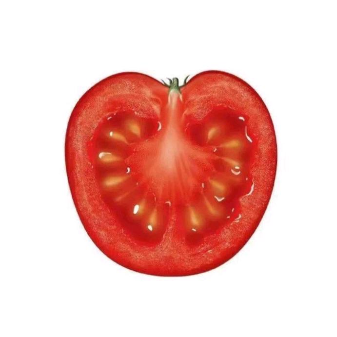 努力练飞的红九（挑战半马145版）