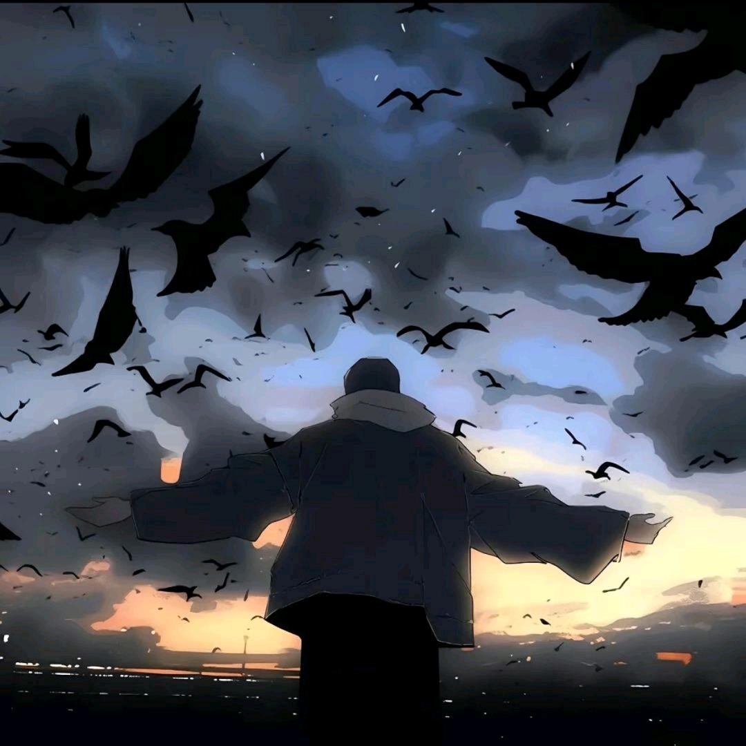 我看了57次日落