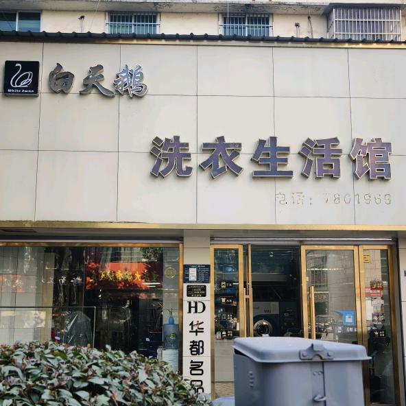 白天鹅洗衣生活馆