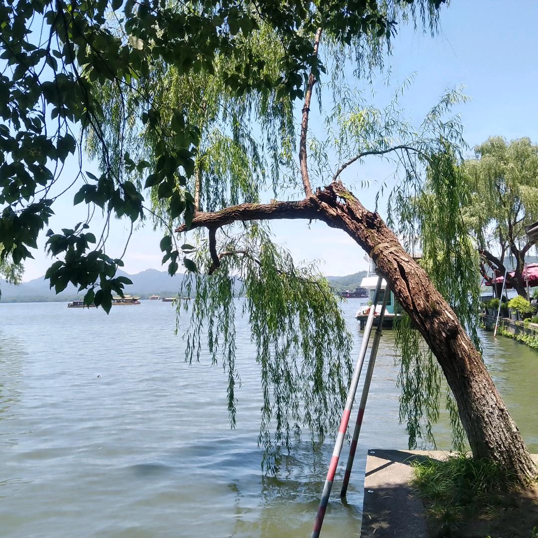 用户一笑而过。