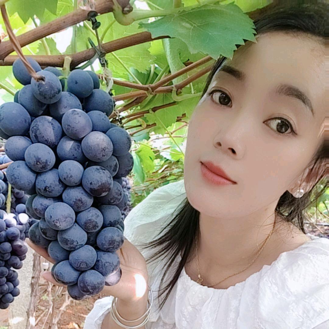 小   彝   妹