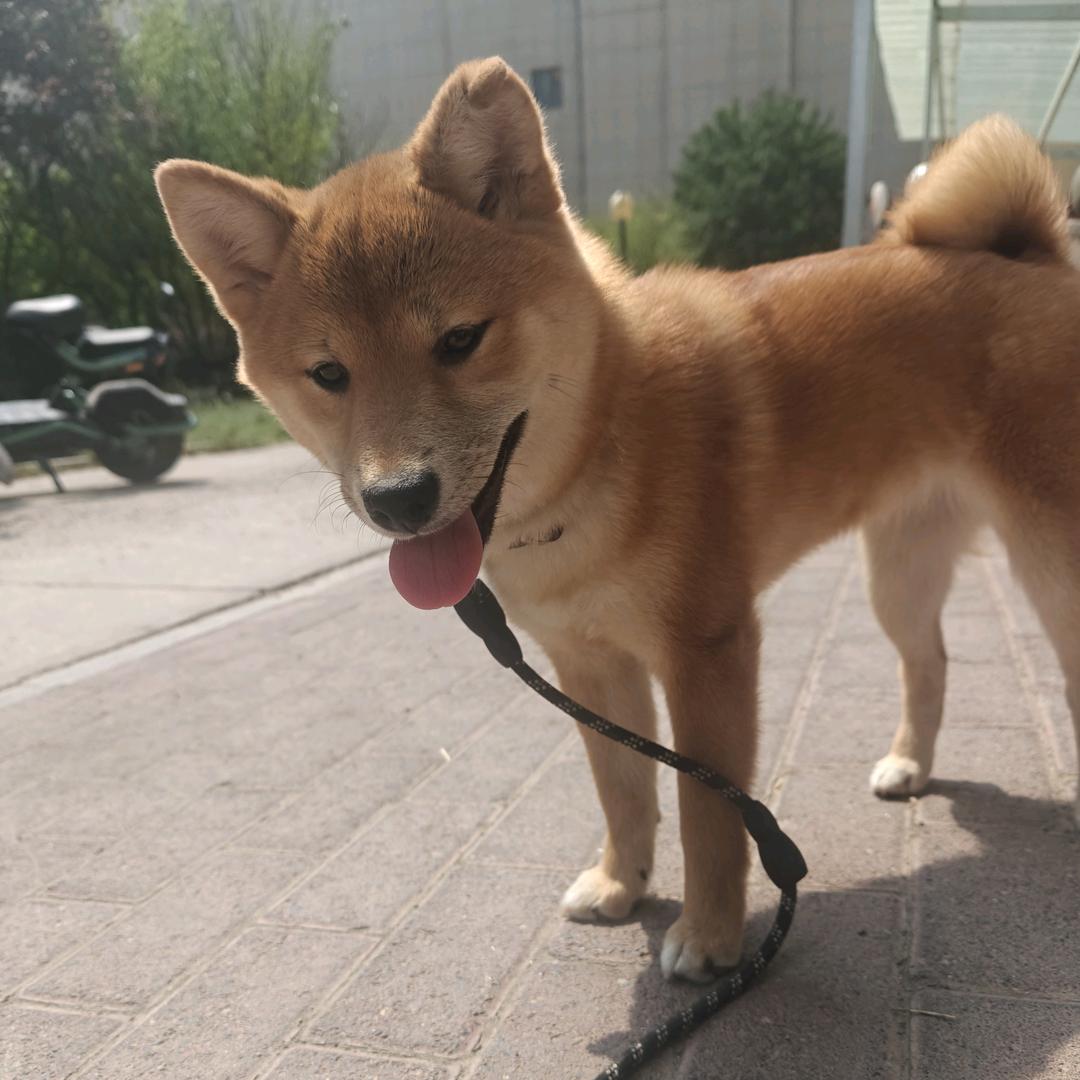 🌈 幸运🍊糖宝 💞💞