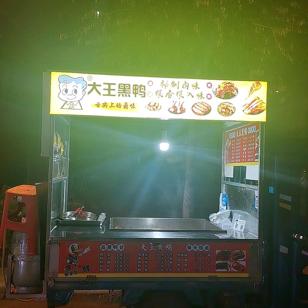 大王黑鸭。（石河子）