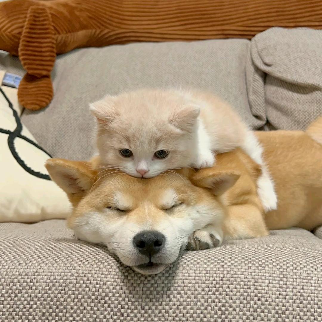 何曦云💕
