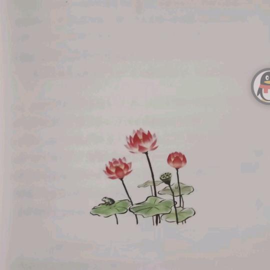海岛兄弟