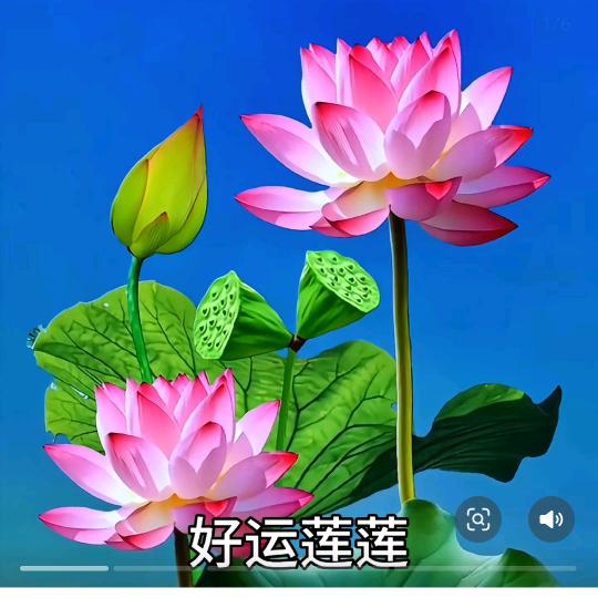 好运💕相随