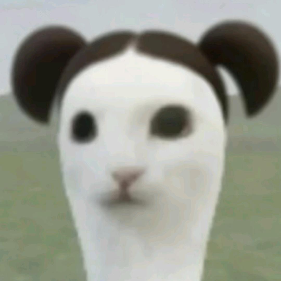 小新的新鲜挂件.
