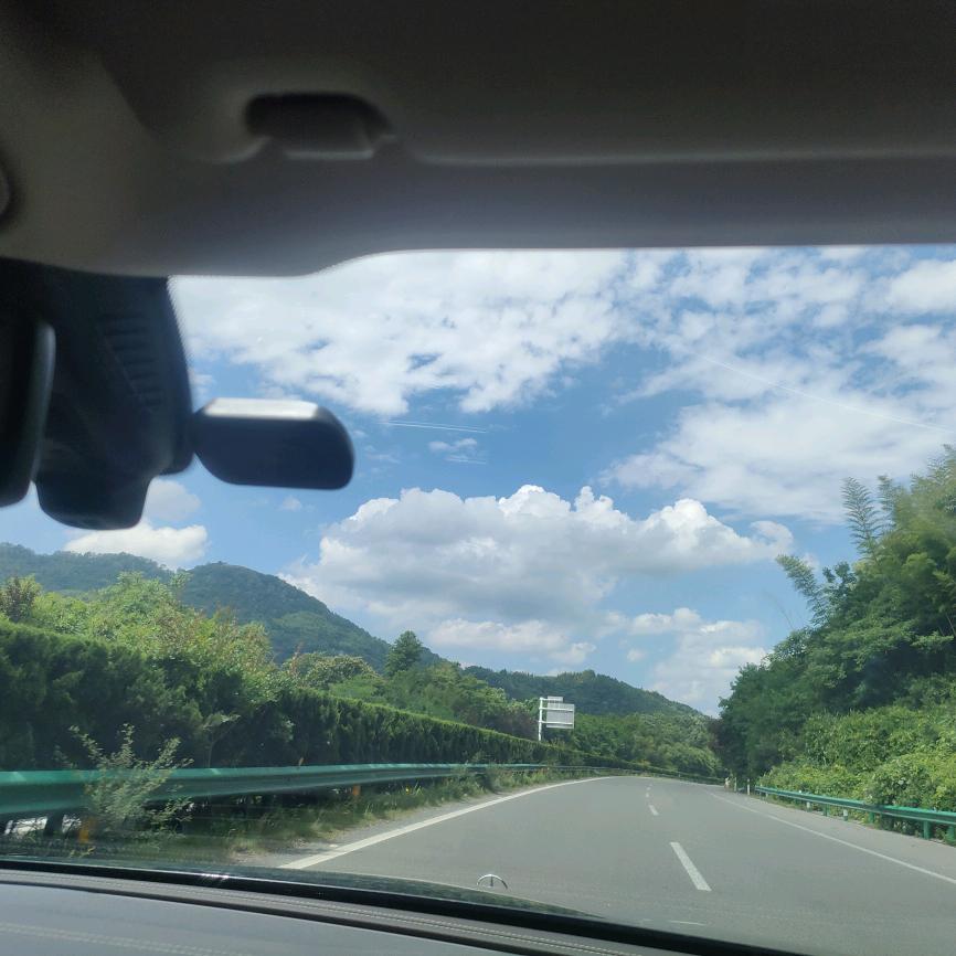 加仑盆王振雷
