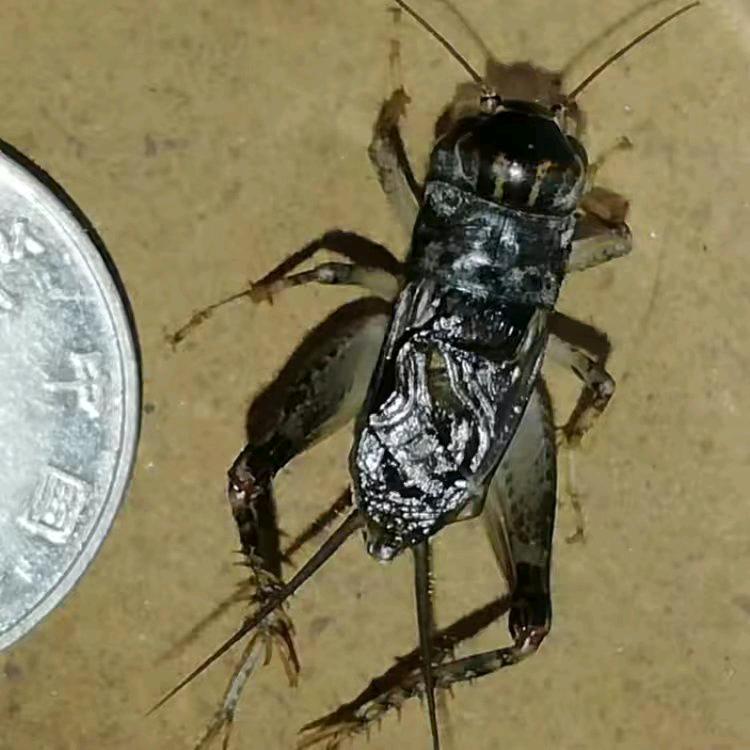 王为一的优品小铺