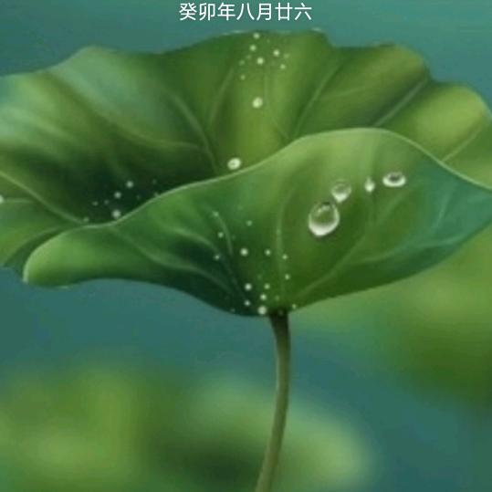 人人都是佛