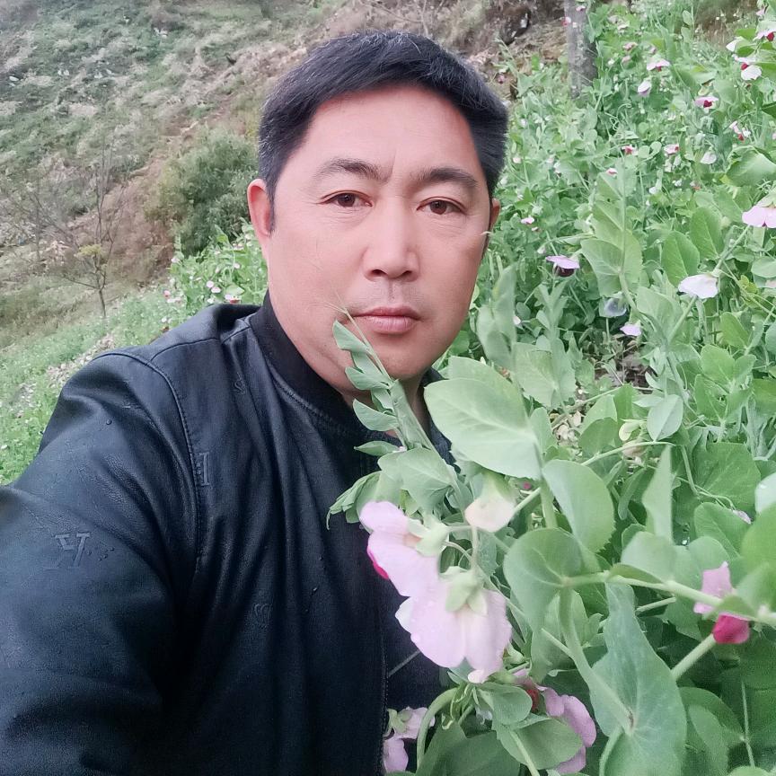 许我一笔墨🌹🌹绘你倾城颜!