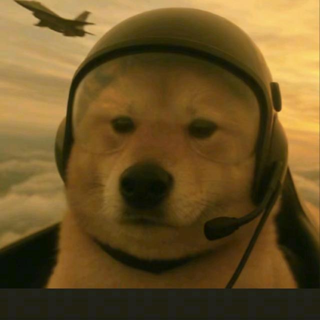 舒克