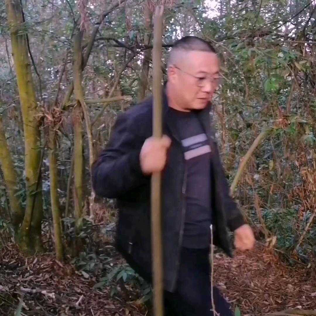 天南星
