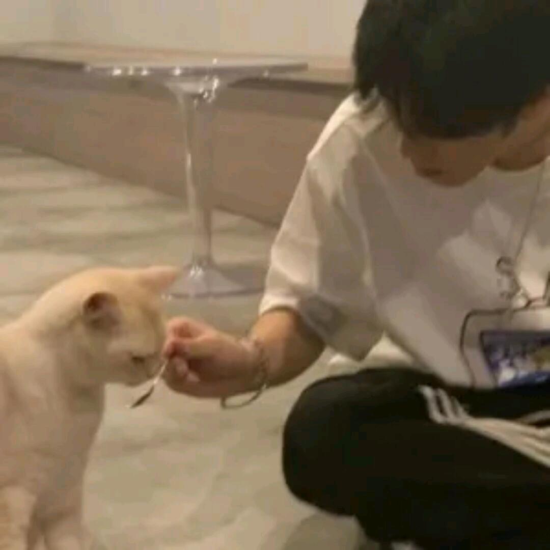 又双叒叕遇见了你