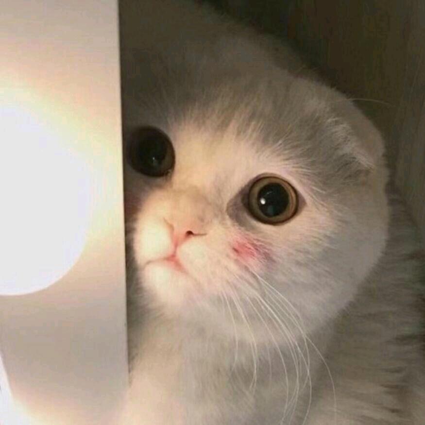 因为是静静呀🍓