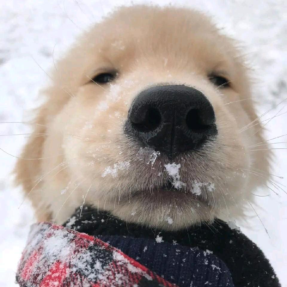 ～