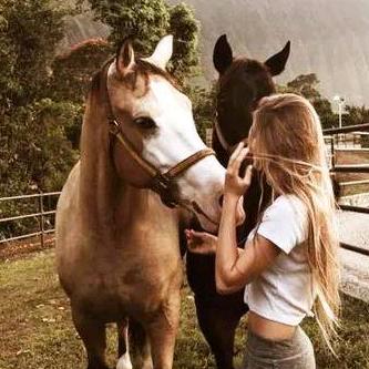 马力户外骑马装备