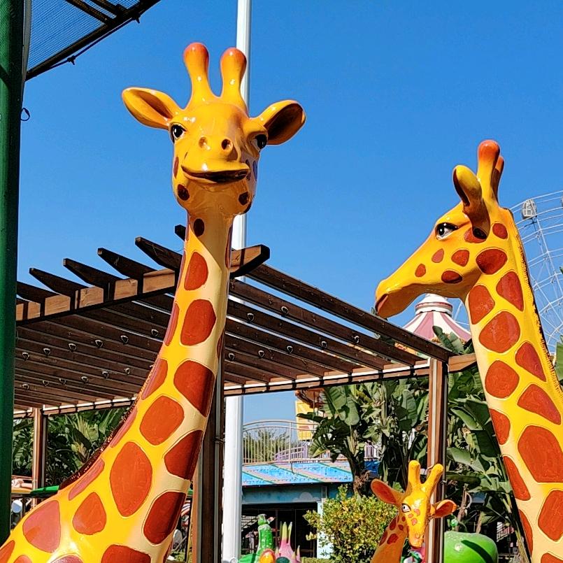 欢₍˄·͈༝·͈˄*₎◞ ̑̑