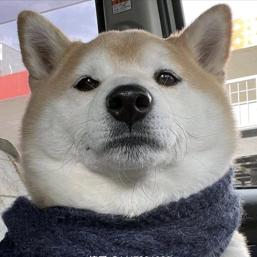 硫酸盐