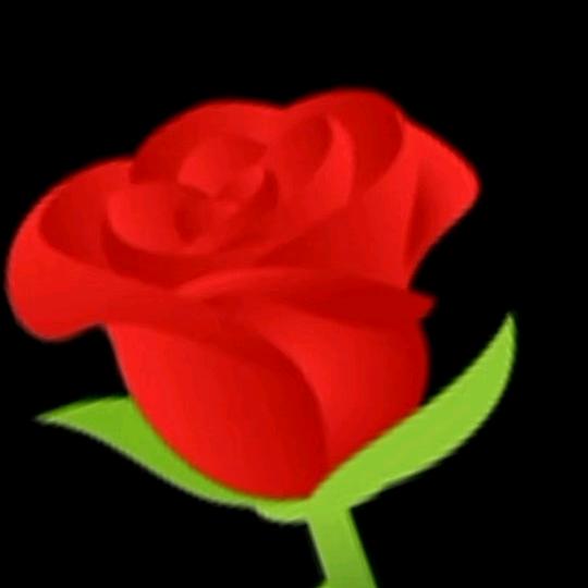 🌹 💐  微 微 笑   @m🌺